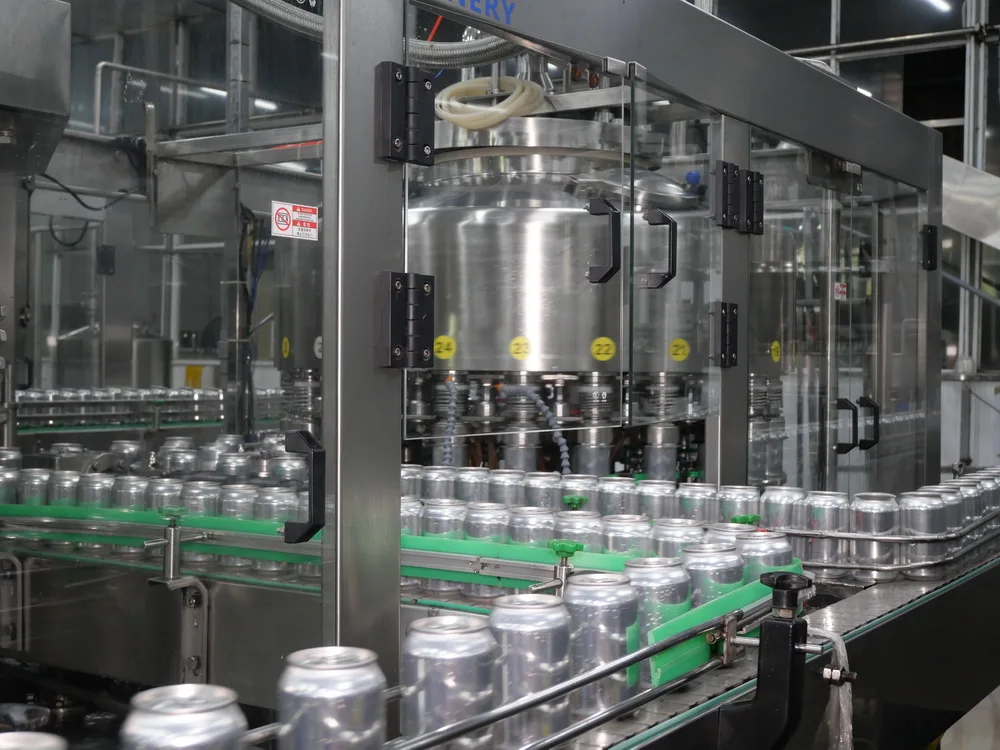 250ml VINUT Beauty Aloe vera drink with mango juice