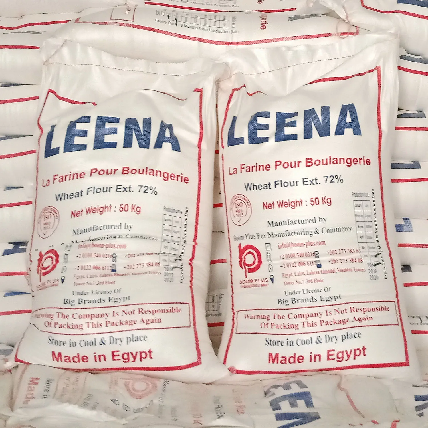 Bread Wheat Flour 50 kg t55 Leena Brand Flour Egyptian Product Maida Flour 72% Extract