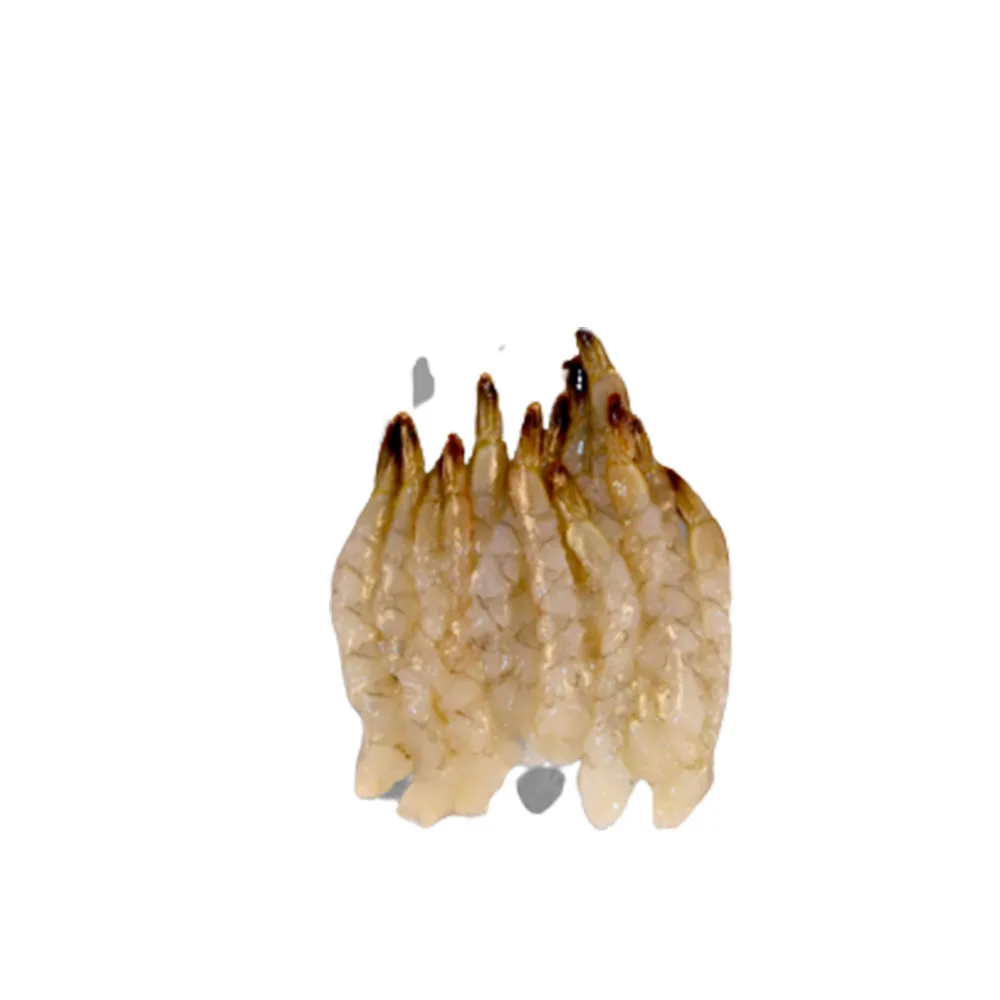 
Shrimp prawn export Frozen whole white Vannamei shrimp Nobashi Ebi shrimp farm 26/30 