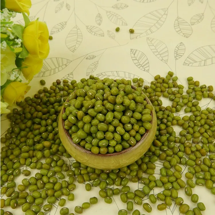 vigna beans good quality green mung beans