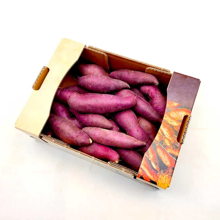 Korean Honey Sweet Potato