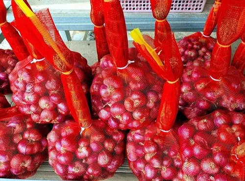 Свежий лук из Вьетнама для экспорта по конкурентоспособной цене и высококачественный авокадо готов к отправке рынков ЕС Азии США