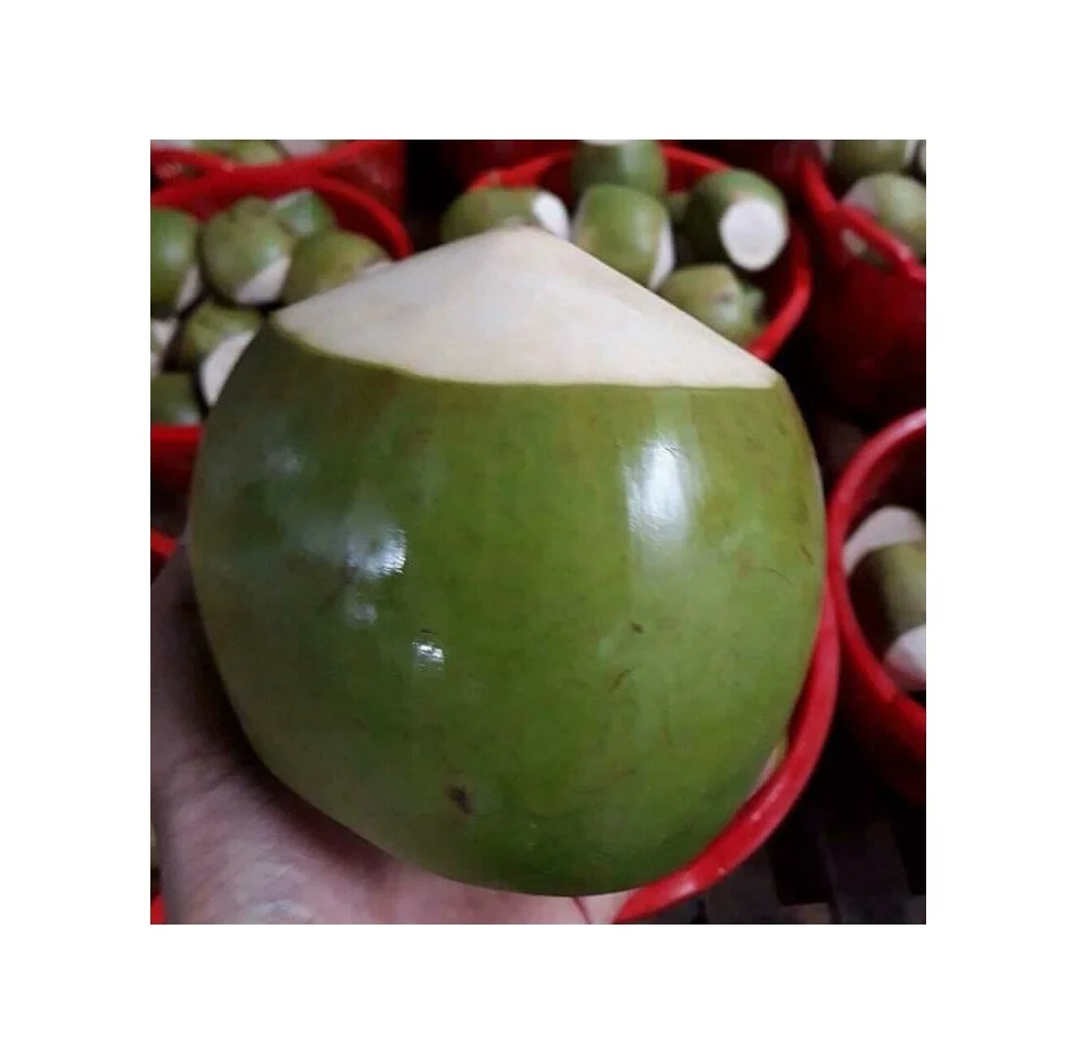 Дешевая цена для оптовой продажи пить 2021 сладкого молодого кокоса