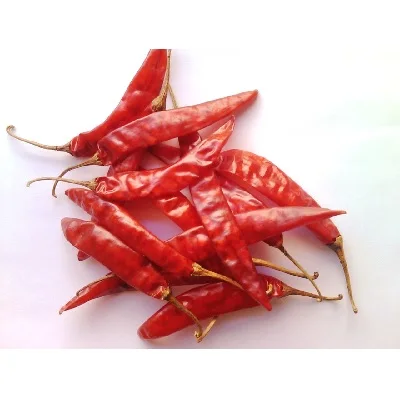 Wholesale 65g Hot Dry Red Chili Flakes Dry Red Chilies Materials Spice Seasoning