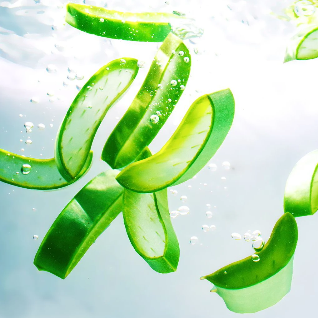 Кубик алоэ вера/кубики алоэ вера высокого качества от ведущего производителя из Вьетнама/Ms.Anna + 84 364930172