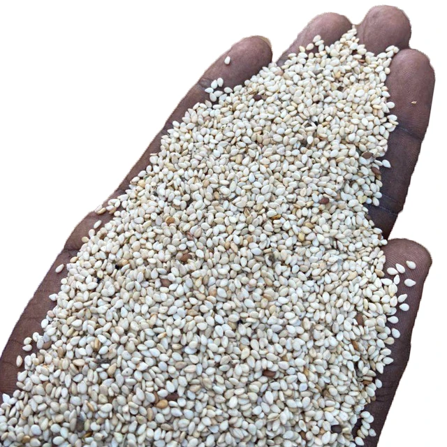 Unhulled Sesame Seeds Product From Sudan use Tahini White Sesame Sauce Sesame oil