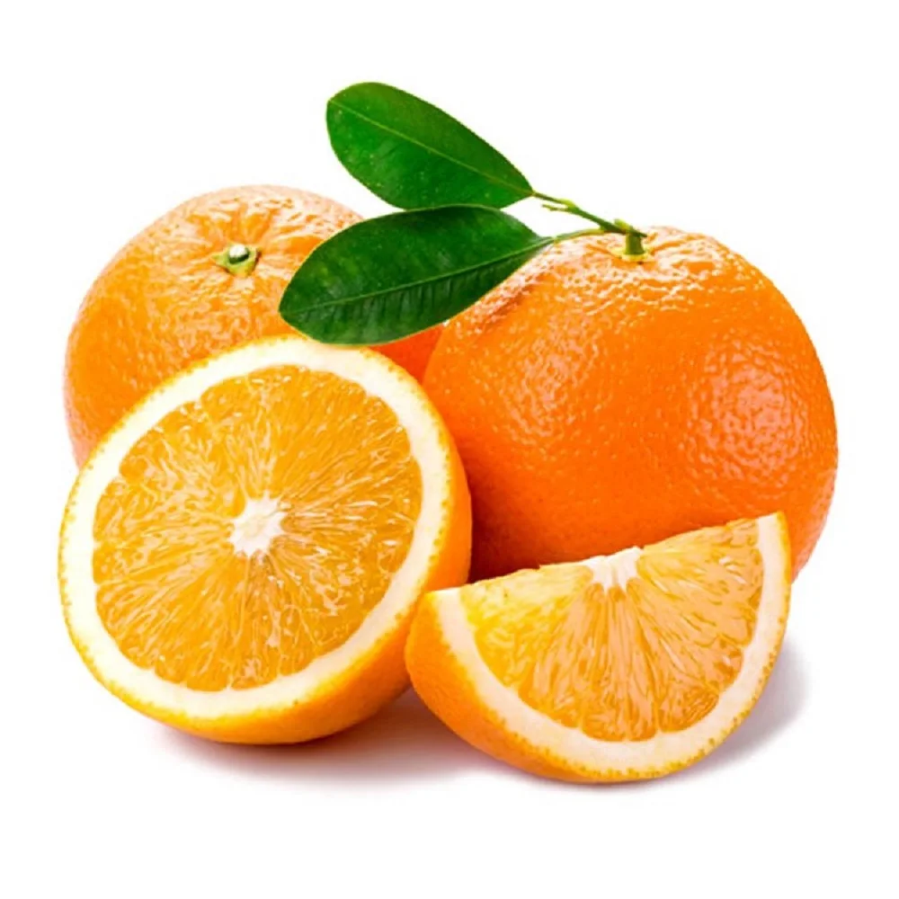 Лучшее качество свежих валенсийских и морских апельсинов для продажи по оптовым ценам с очень хорошими ценами