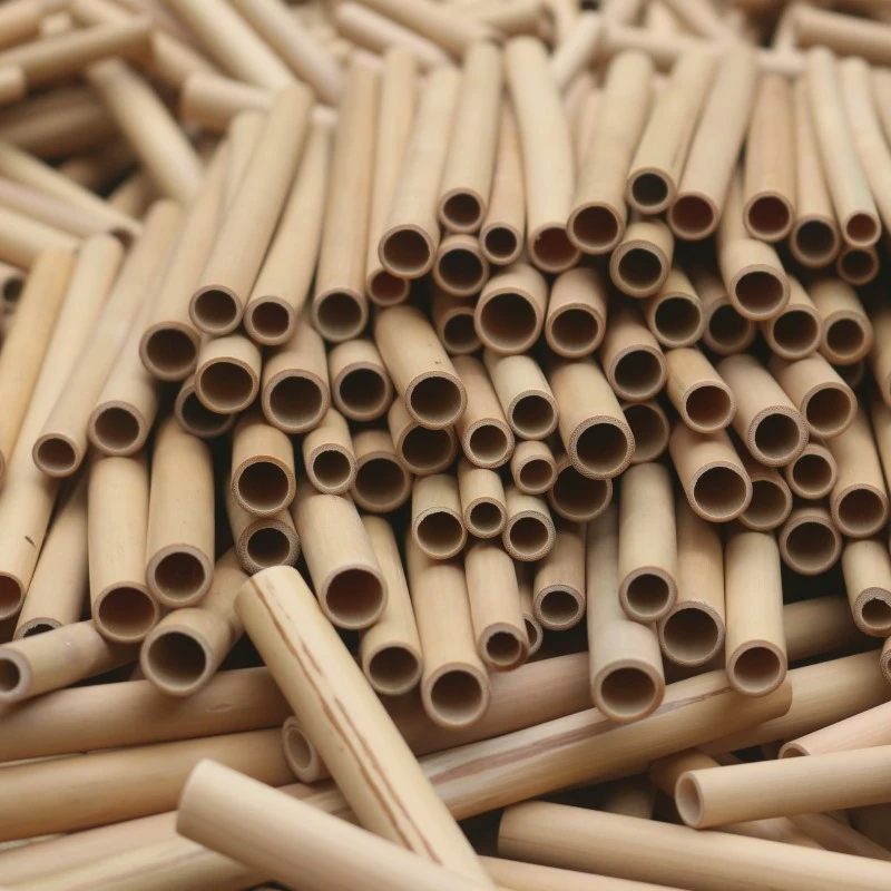 20cm bamboo straws biobased edible straws 100% natural bamboo drinking straws