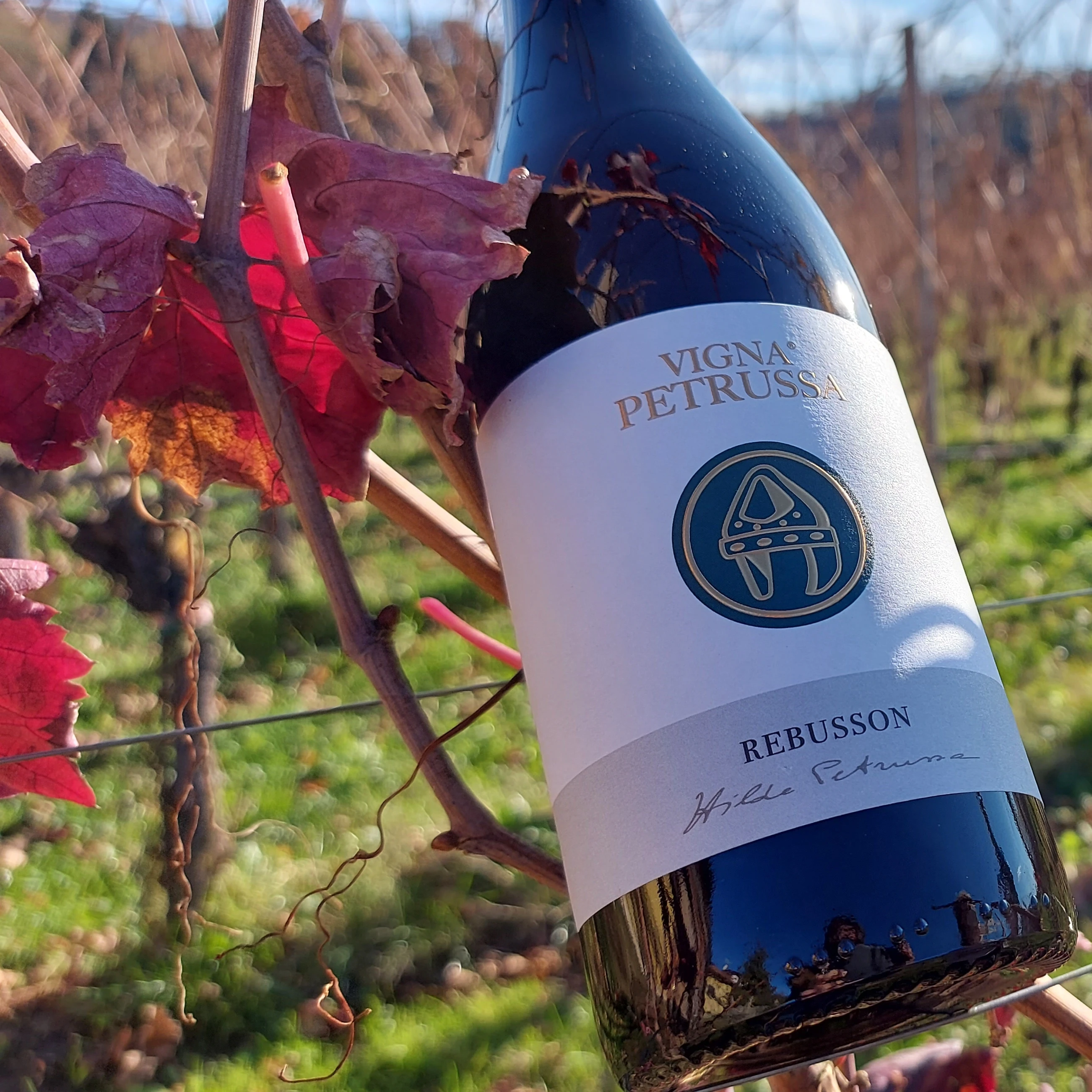 Top seller Italian Wine Vigna Petrussa SCHIOPPETTINO PREPOTTO REFOSCO SCHIOPPETTINO CABERNET FRANC RISERVA REBUSSON for horeca