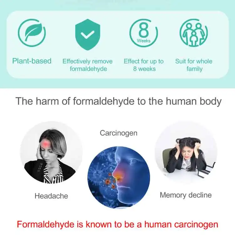 ECO Cleaning Air Deodorant Freshener Formaldehyde Removal