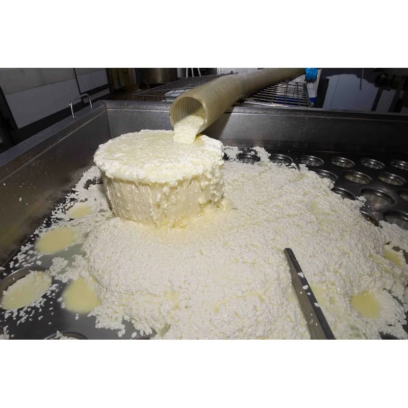 High Quality Italian VASTEDDA DELLA VALLE DEL BELICE D.O.P. sheep milk cheese 0.6kg Vacuum Pack for export