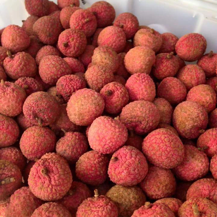Fresh Litchi Season 2022, contact  +84963818434