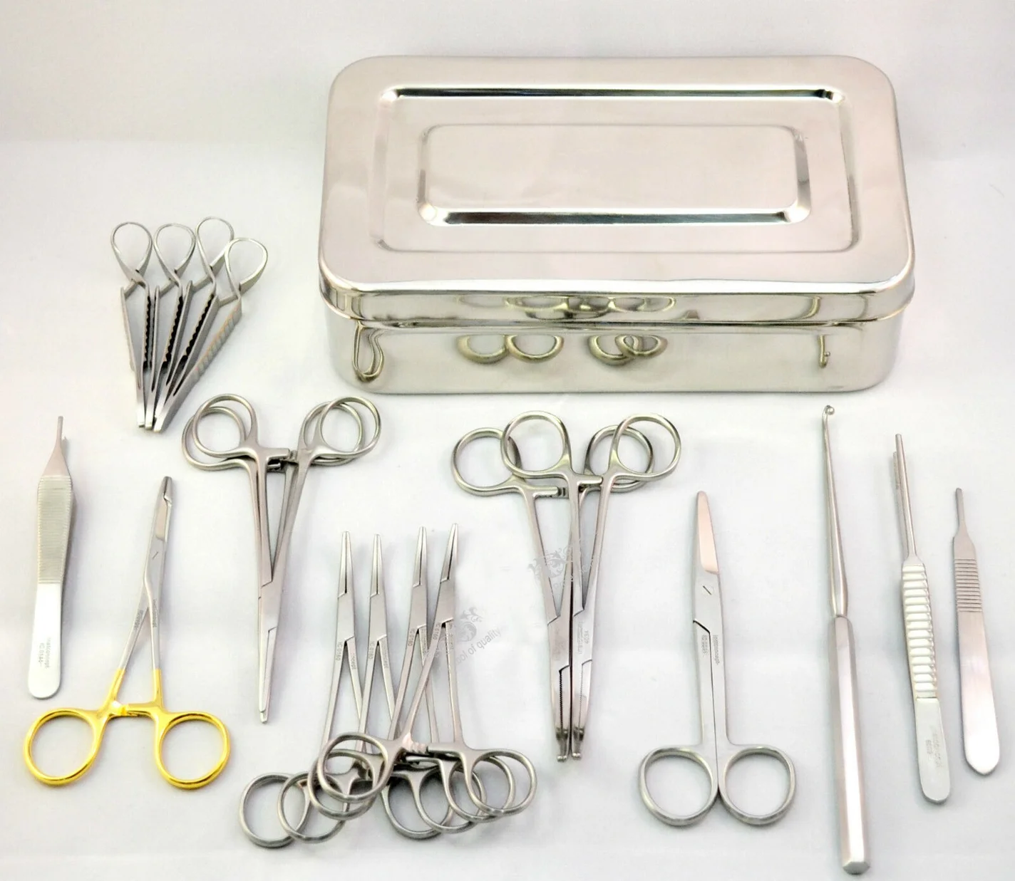 Surgical Veterinary Spay Surgery Kit Ovaries Removal Dentist Vet Lab Instruments