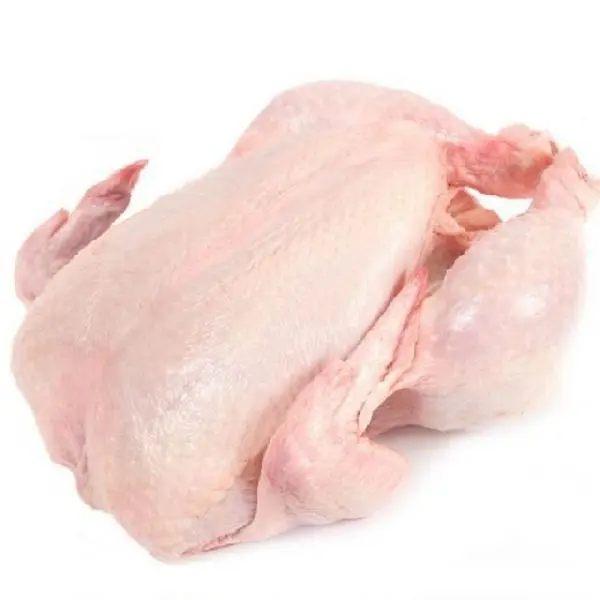 Top Selling Fresh Frozen Chicken Feet / Chicken Quarter Leg / Thighs Healthy Meat Chicken