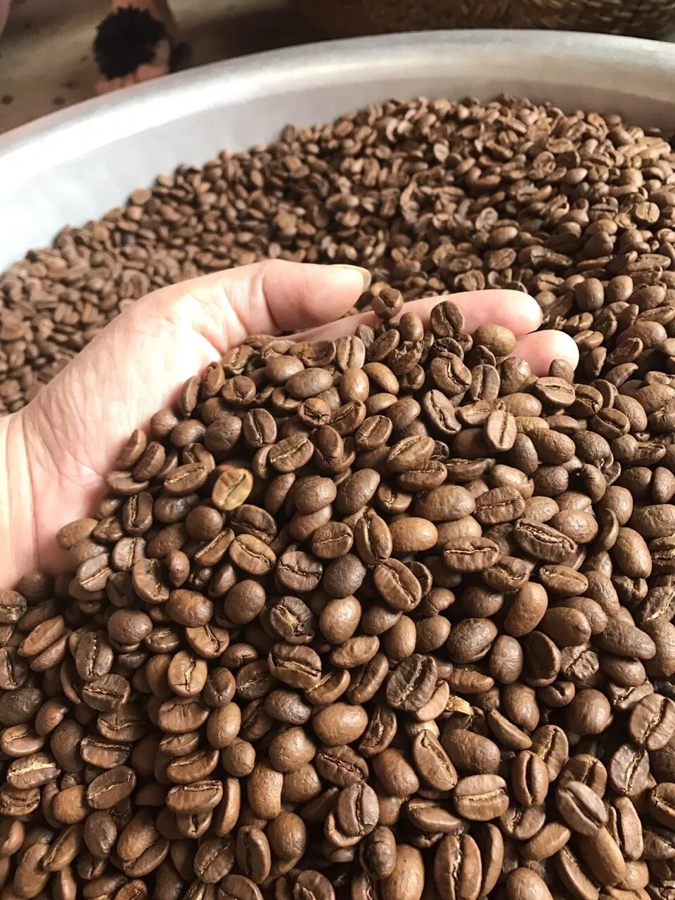 
BEST QUALITY OF ROASTED WHOLE COFFEE BEANS CHEAP PRICE (ARABICA/ ROBUSTA) +84905010988 