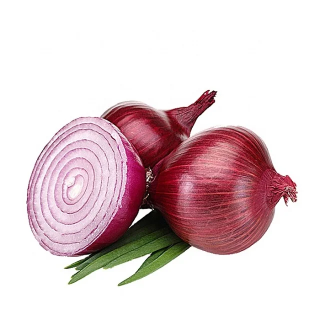 Best Selling Indian Fresh Red Onion for Export