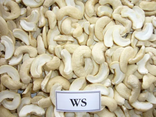 Made in Vietnam Raw Cashew Nuts Roasted Cashew Nut Vietnam Cashew Nuts