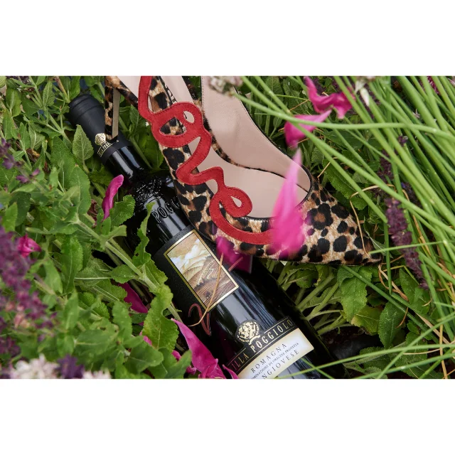 Вилла Poggiolo высшее итальянское качество 2018 Cabernet Sauvignon Dop красное вино для