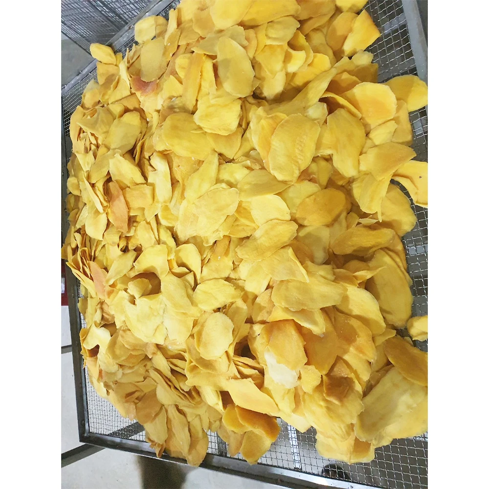 Vietnam dried fruit bulk style packing sweet soft dried mango