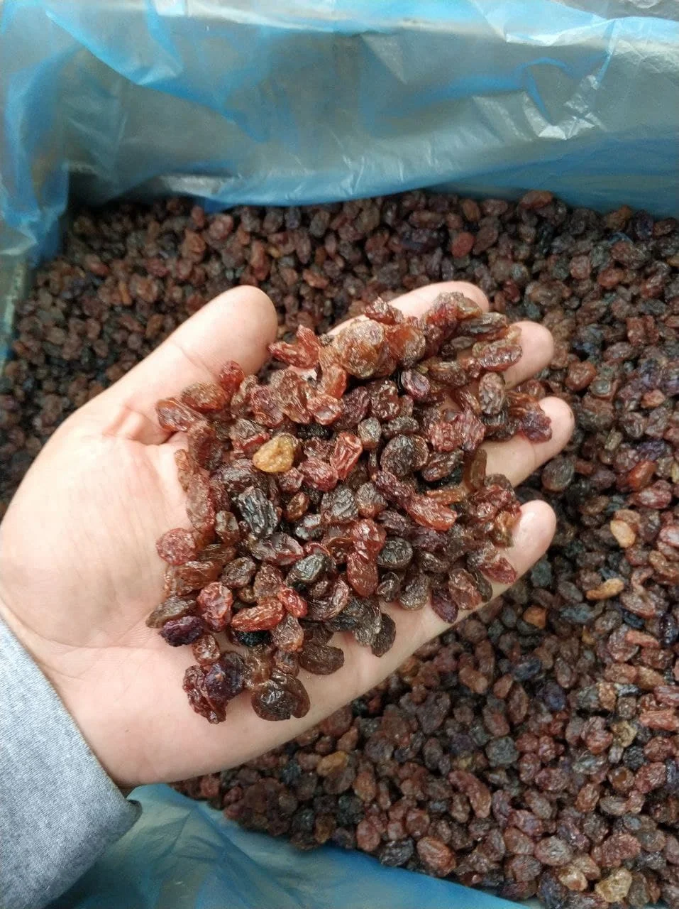 Wholesale crop 2021 October good quality from Uzbekistan bags 25 kg  organic dried fruits thompson raisins