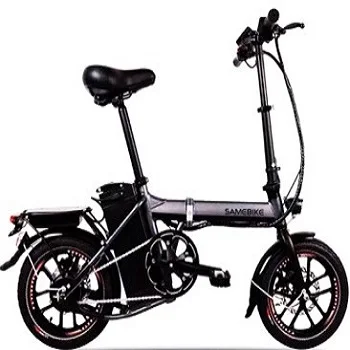 Electric Motor High Power Wholesale Directly Brushless 36V 250W Bike Mountain 750w Max LED Light OEM Frame Battery Time Charging