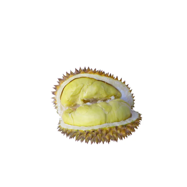 Wholesale Frozen IQF Durian /Durian price High Quality Durian Fruit From VietNam (Frozen Durian) with LC / TT at sight