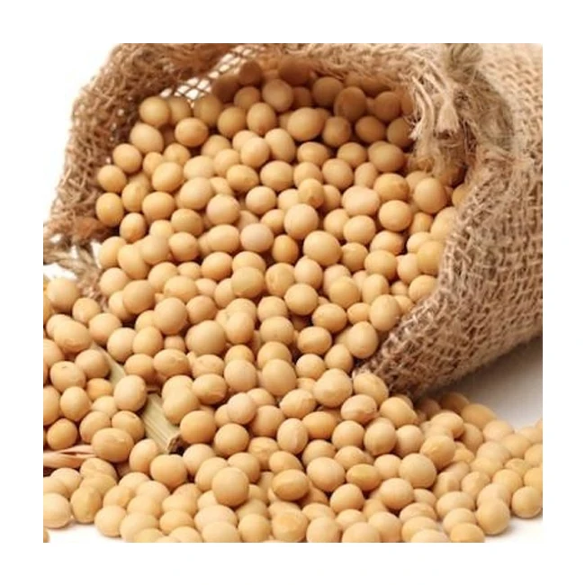 High Quality Soybeans For Sale