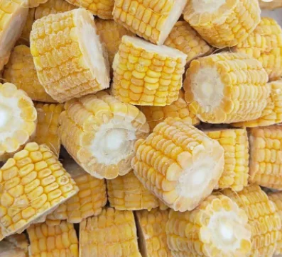 Whole frozen corn cob sweet yellow corn iqf for sale in USA