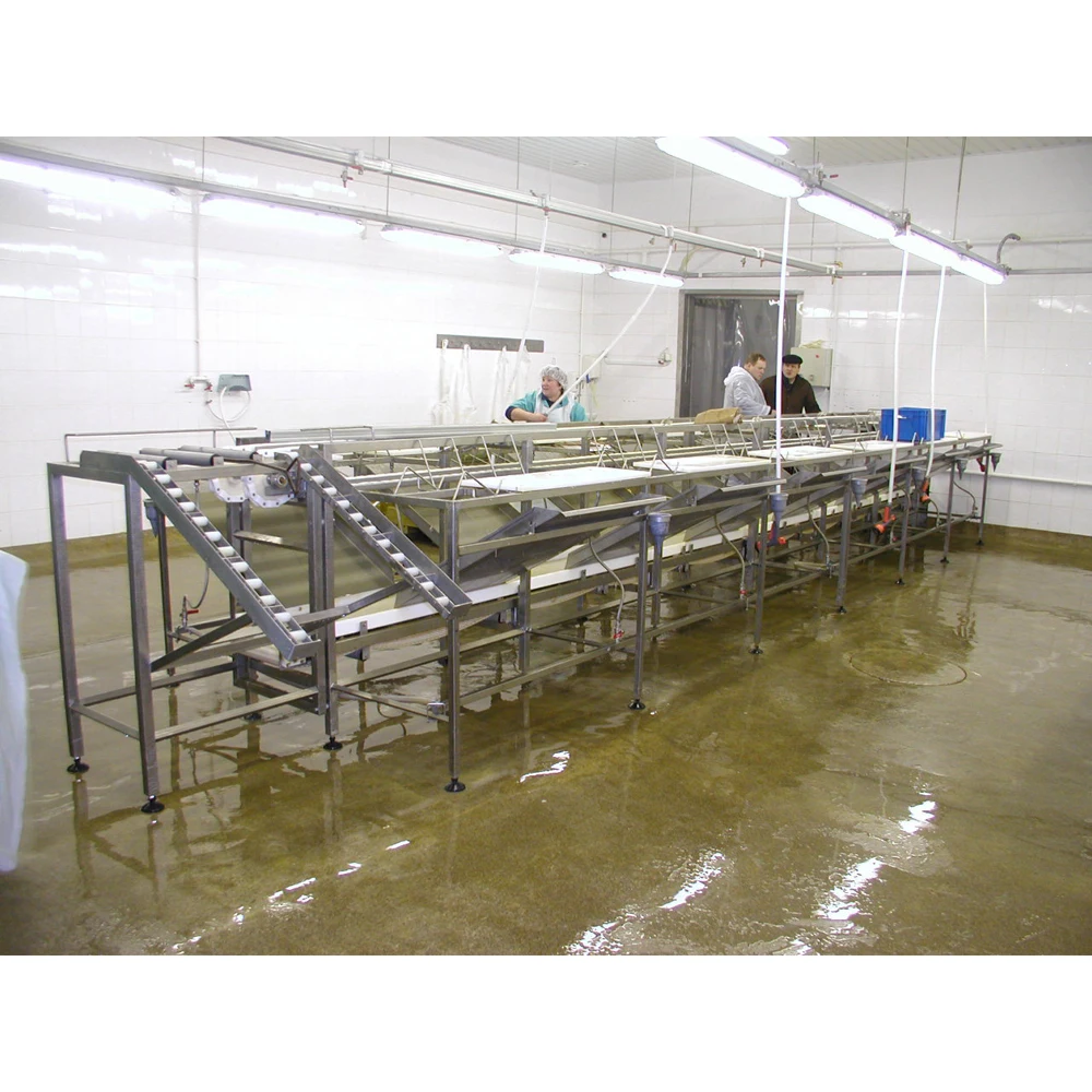 Fish processing conveyor KP