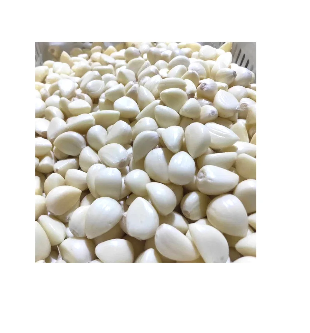 Wholesale Best Quality Fresh White Peeled Garlic For Sale In Cheap Price