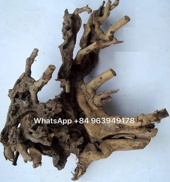 Hot arrival  Natural driftwood for aquarium ornament Whatsapp +84 963949178