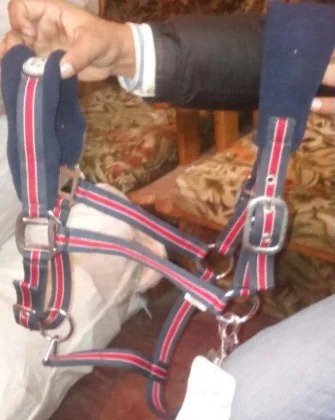 Fleece Padded PP halters IN;34648 full cob Shetland