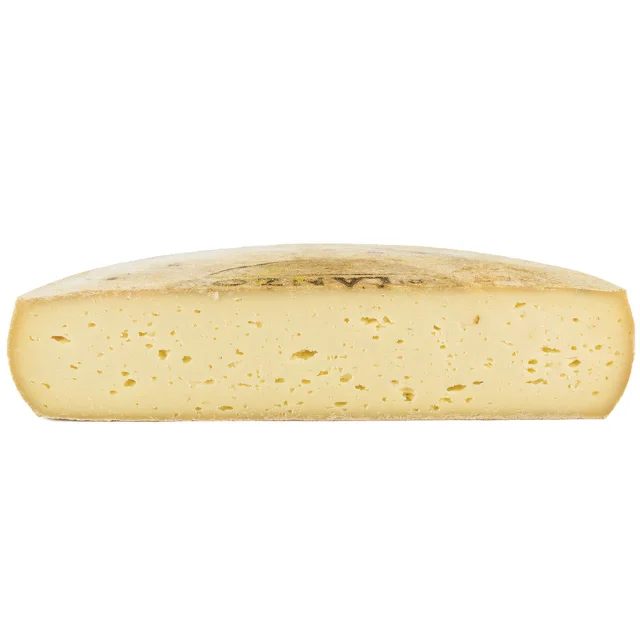 High quality traditional italian food  Toma di Lanzo cheese for restaurant