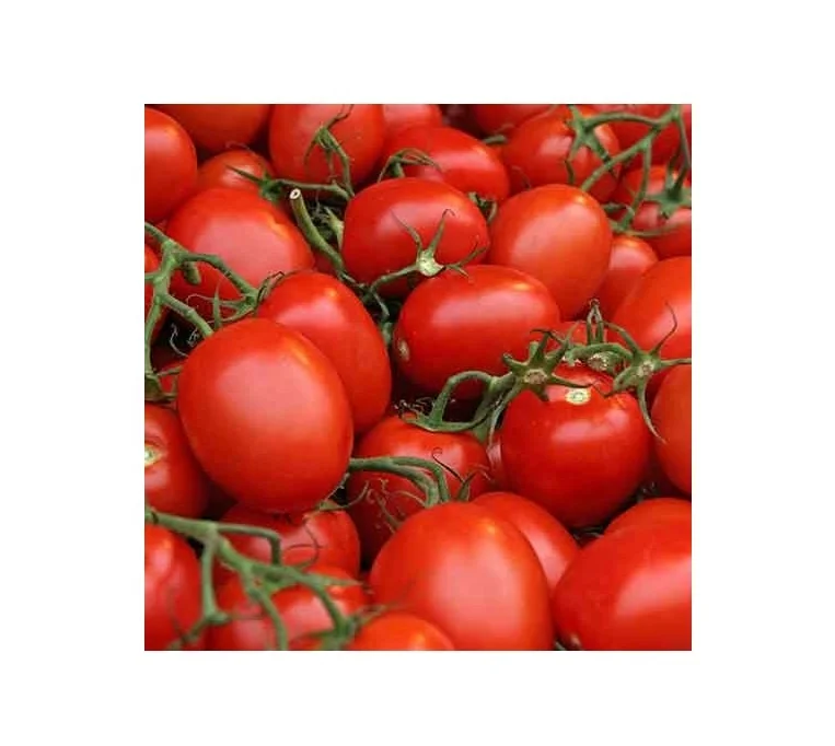 
IQF Frozen Bulk Organic Half Tomatoes High Quality/Fresh Tomato / Fresh Cherry Tomatoes 