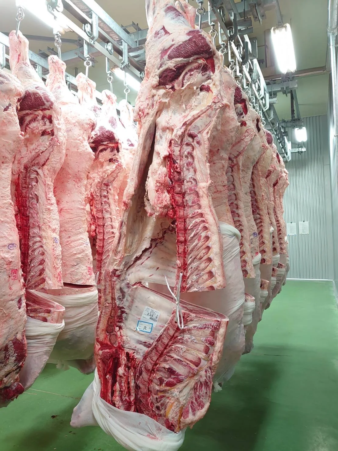 Замороженный вагюй полный набор HACCP мясо говядина Ribeye рулон патрон полоса