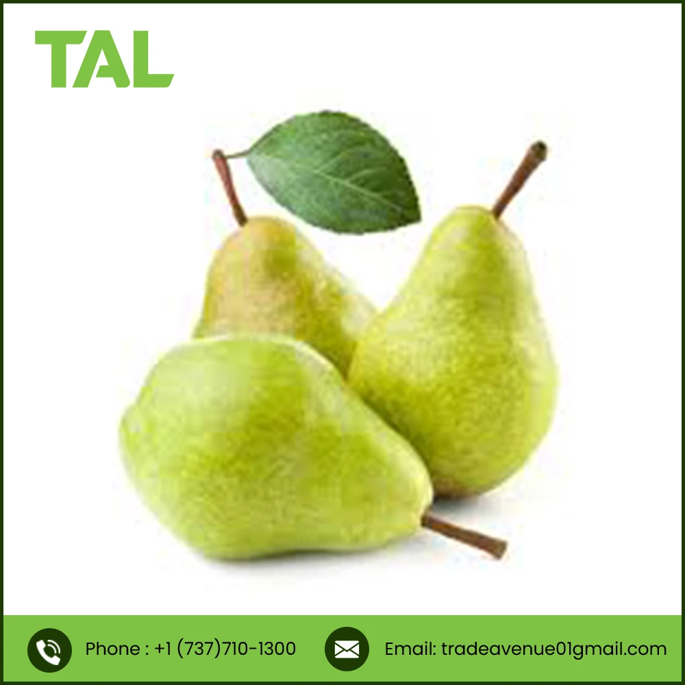 TOP QUALITY fresh green pear fruit from South Africa