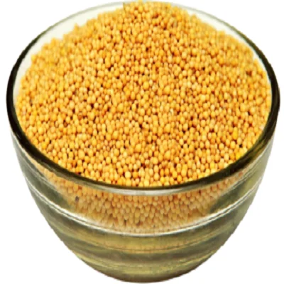 
yellow indian mustard seeds 