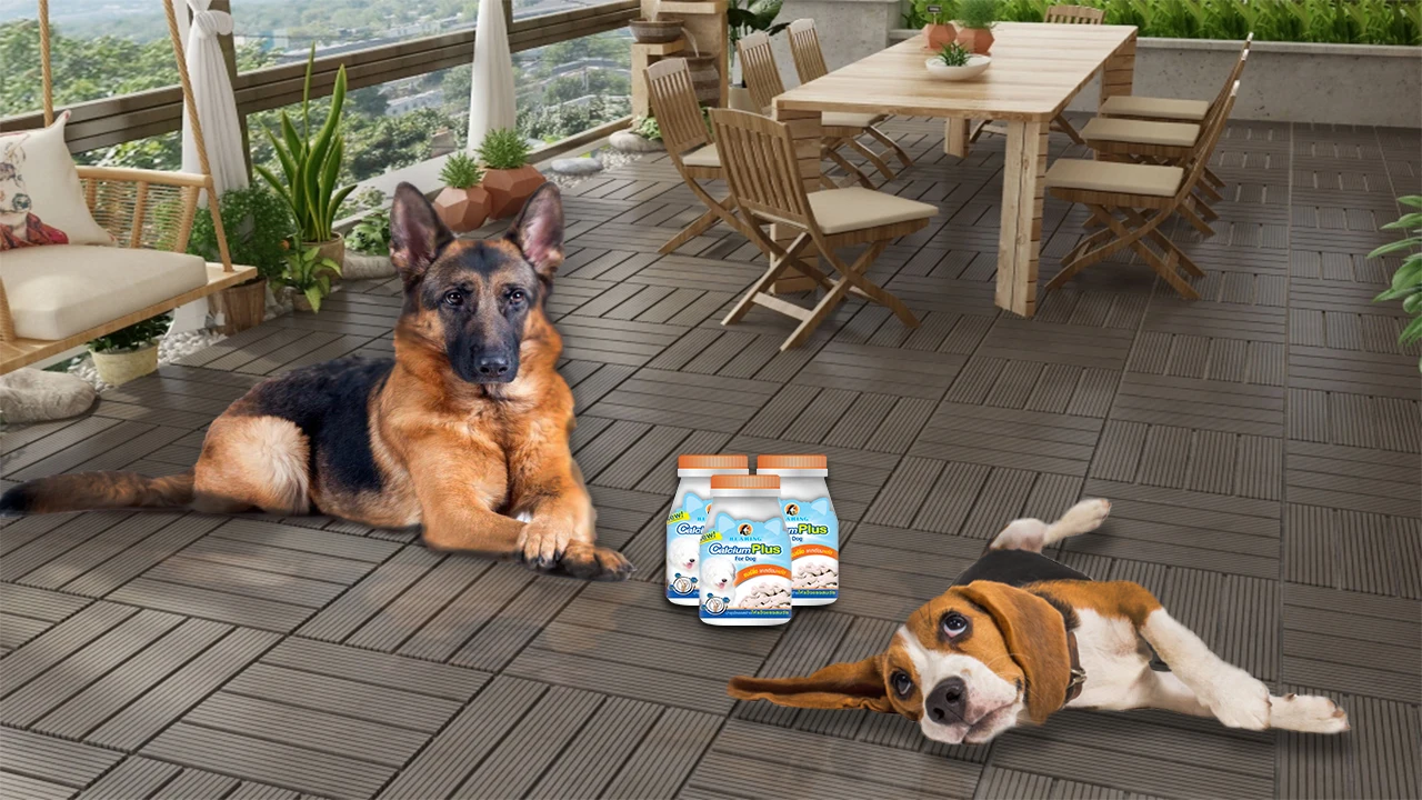 No.1 Pet Care in Thailand Bearing Pet Multi Vitamin Calcium Plus Supplement for Dog 100 Tablets