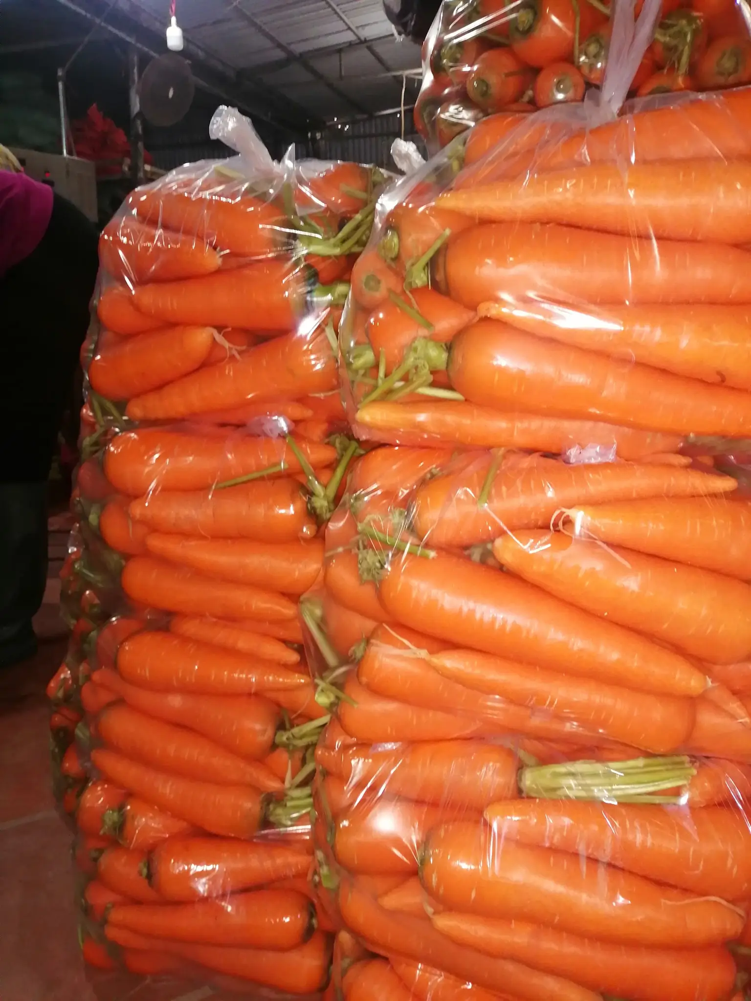 Свежая морковь carrotfresh цена экспорт оптовая упаковка 4 5 кг нетто (тел./whatsapp/ viber: 0084 989 322 607)