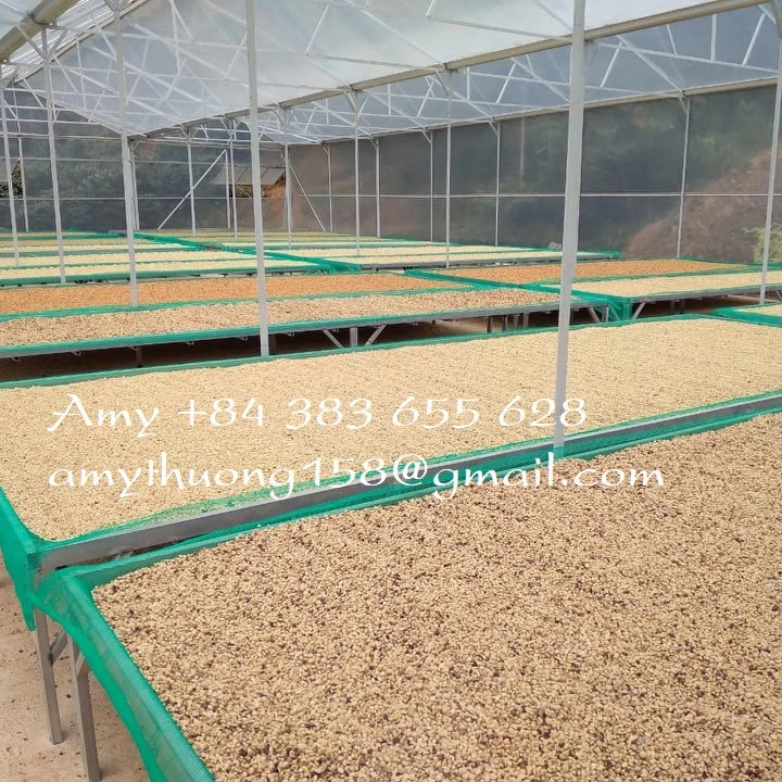 Best Quality Dried Instant Coffee Powder fror exporting