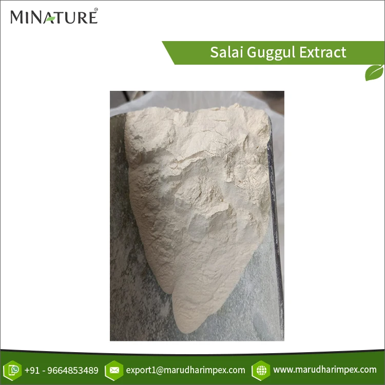 100% Quality Commitment High Purity Natural & Pure Salai Guggul Extract Herbal Powder at Genuine Bulk Price