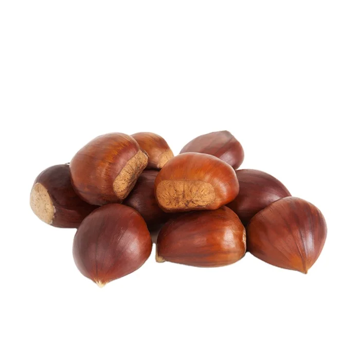 
Top Quality Fresh Chestnuts For Sale / Frozen Chestnuts 
