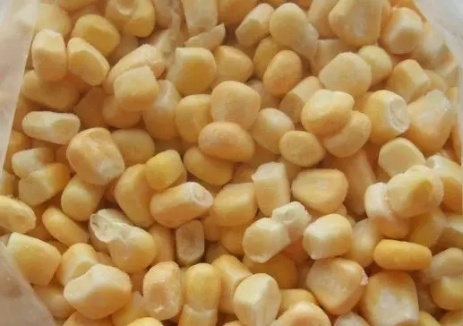 Whole frozen corn cob sweet yellow corn iqf
