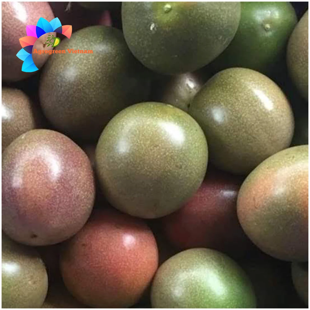 Factory customization frozen passion juice fruit soft drinks drink fruit made in Vietnam