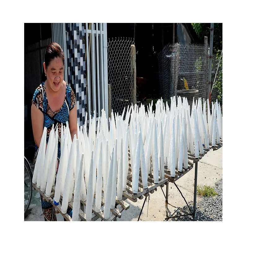 Dried sea bass fish maw high quality