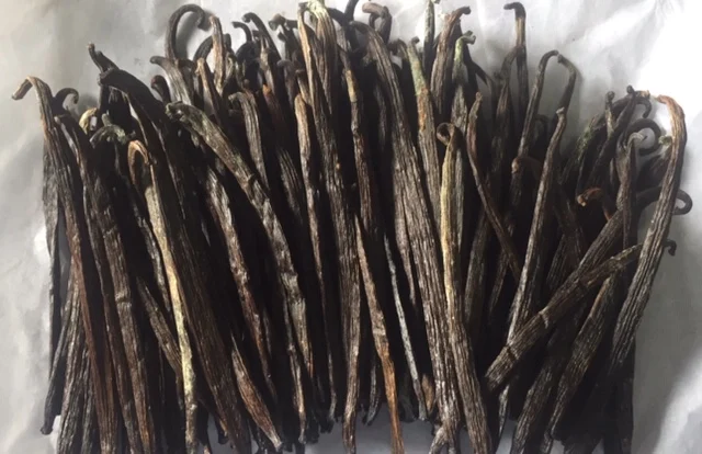 RENDAH TAHITENSIS GRADE-3 14-15.9 CM VANILLA BEANS for EXTRACTION Hot Selling Indonesian Papua Best Quality with Best Price