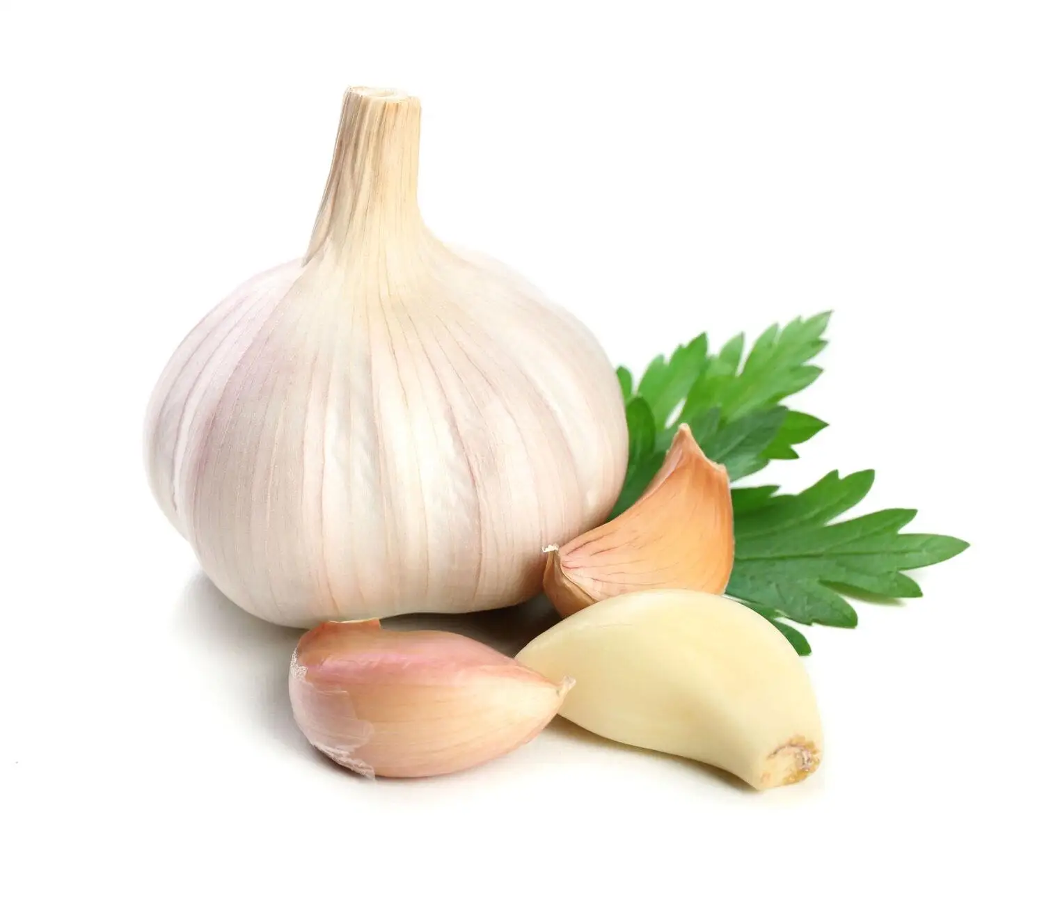 Cheap Garlic from Thailand
