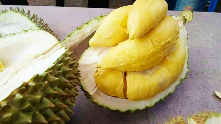 Новый Урожай MONTHONG DURIAN оптовая цена высшее качество из Вьетнама/мисс Триш + 84 984 696 874