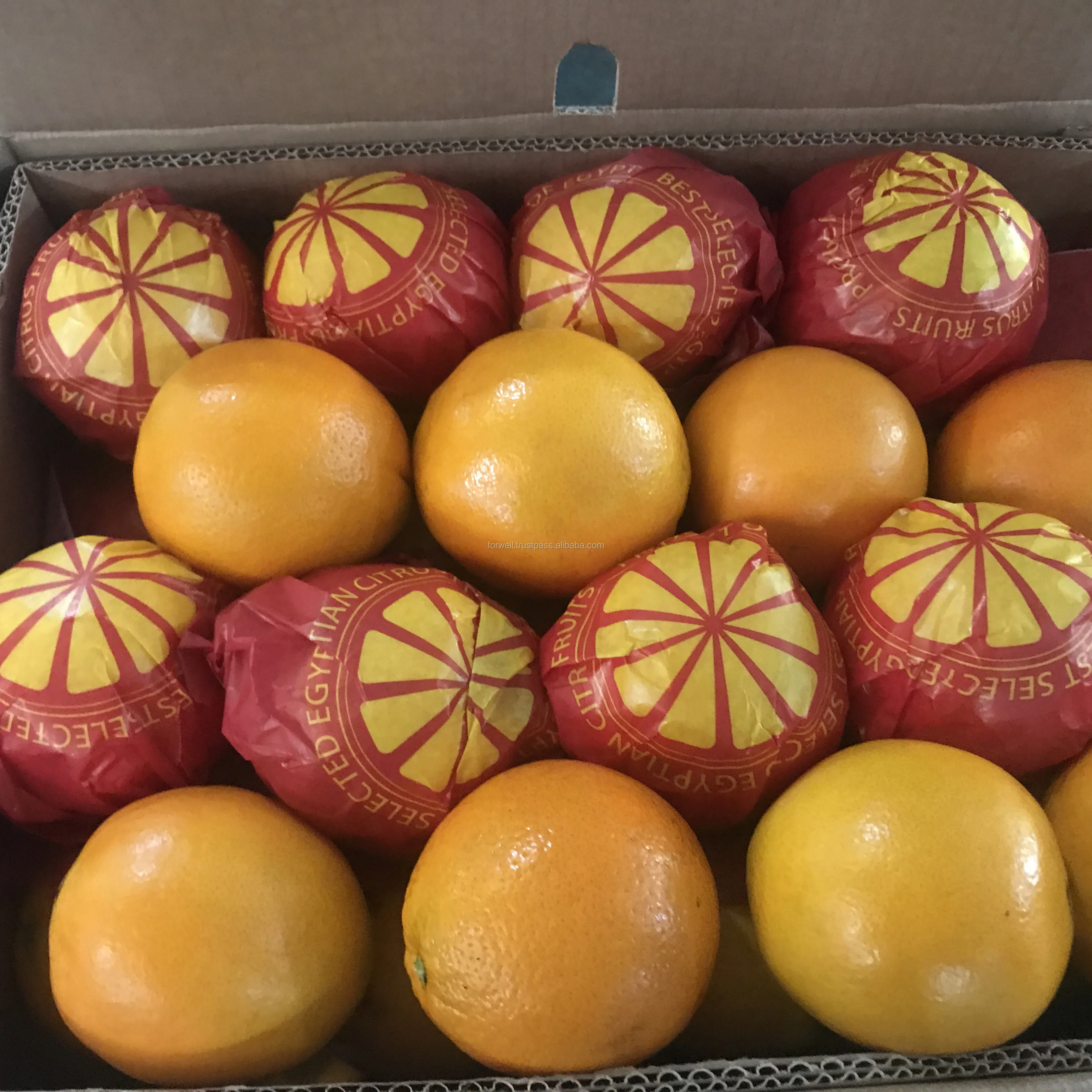 orange fruit  with excellent specifications for export from Egypt