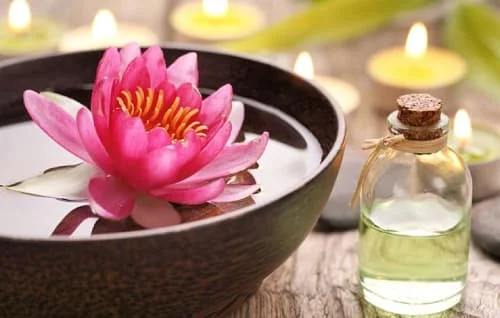 100% натуральное эфирное масло лотоса из Вьетнама/Жасмин + 84 896679047